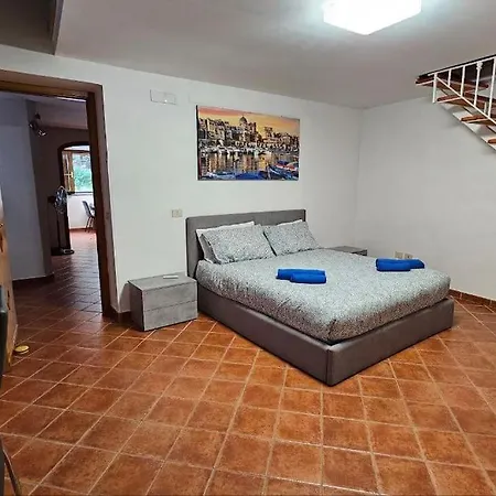 Danka House: *