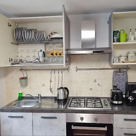 Danka House: * 마이오리