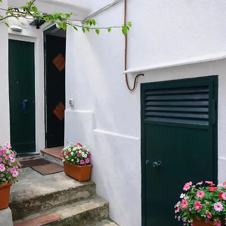 Danka House: Maiori